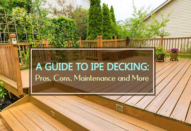 A Guide to Ipe Decking Pros, Cons, Maintenance and More