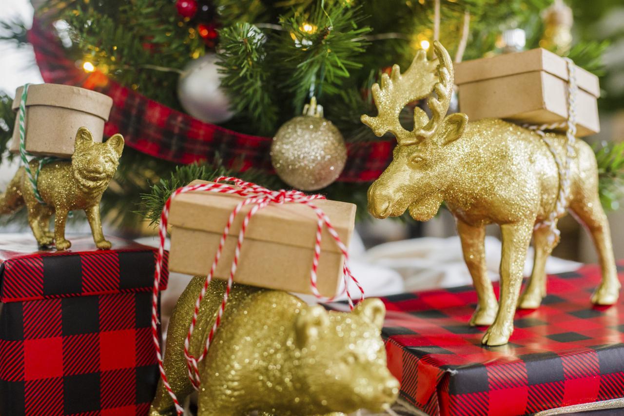 8 Home Improvement Gifts for Birthdays and Christmas House Integrals