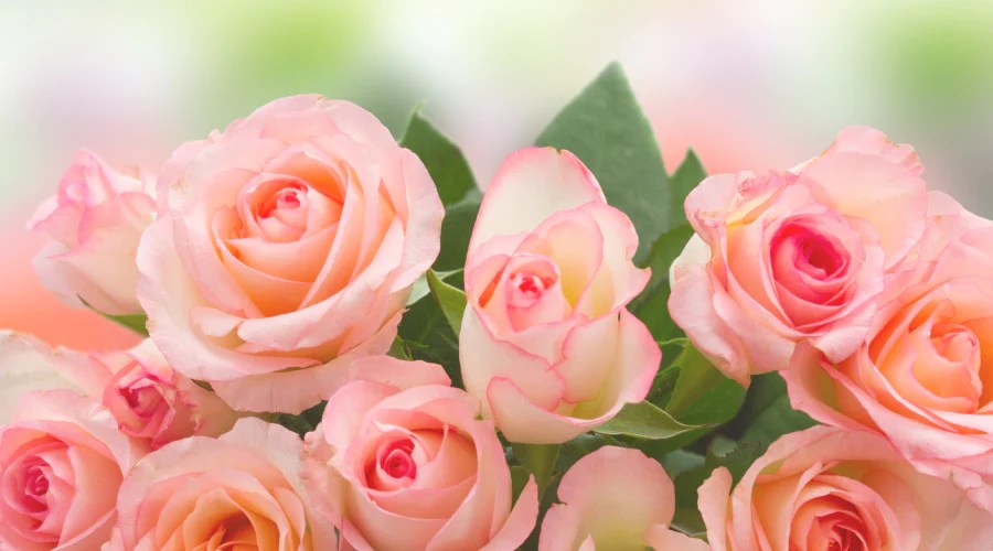 Adding Elegance and Charm to Any Space