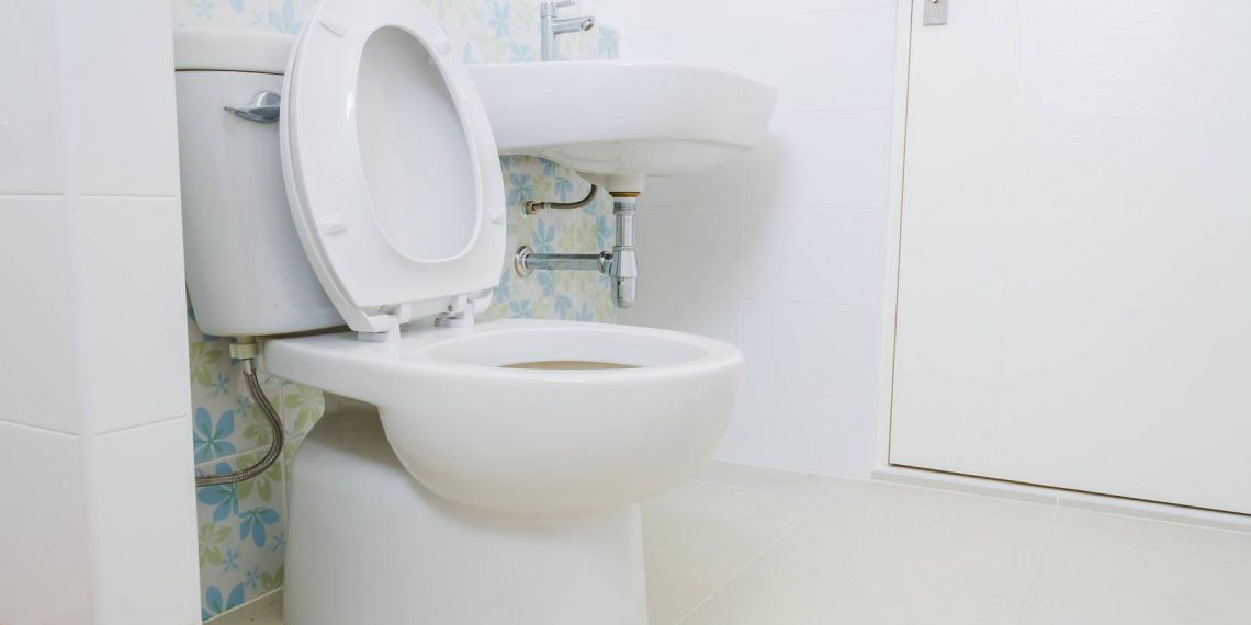 How to Deal With a Toilet Overflowing House Integrals