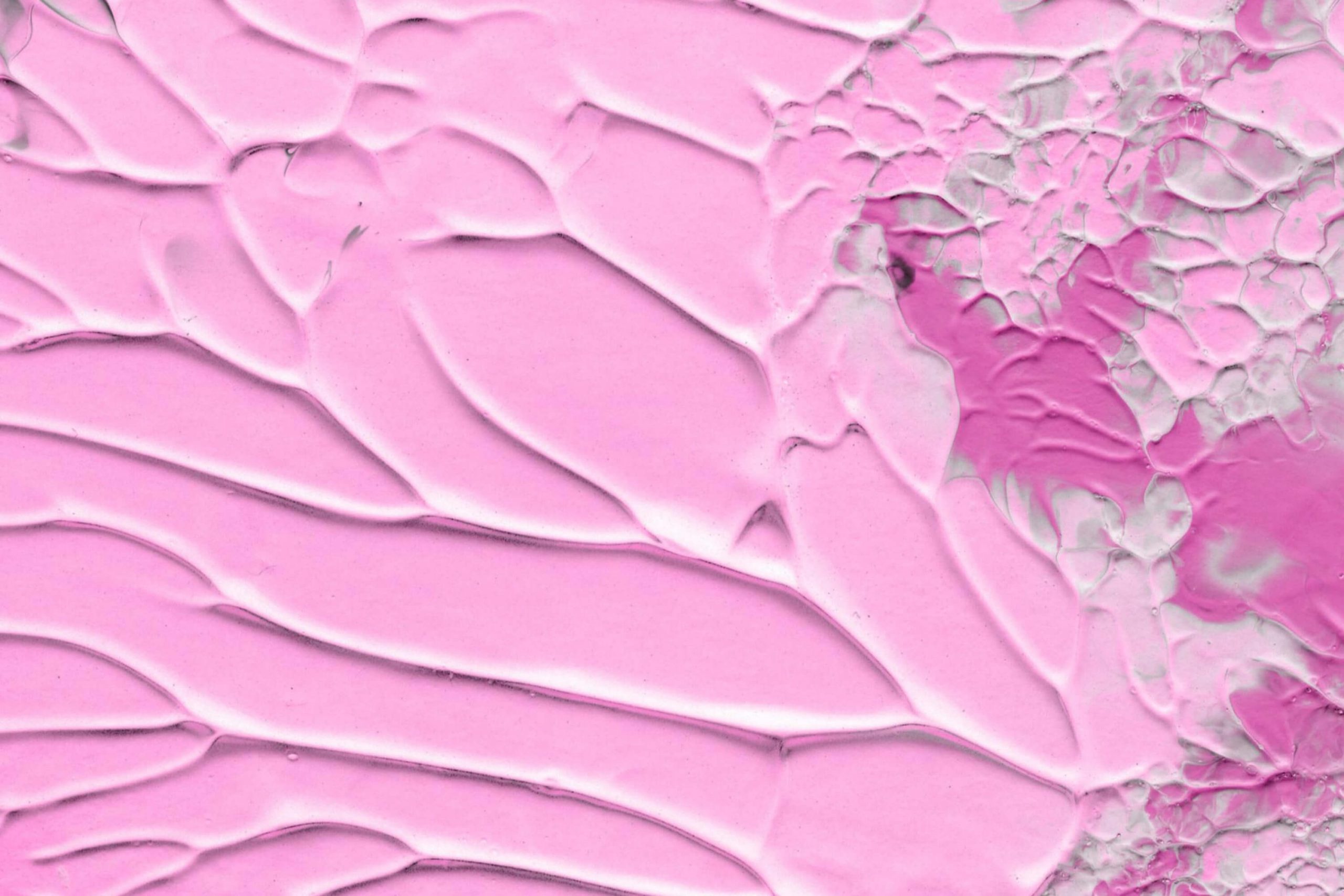 How to Dispose Of Acrylic Paint? Housekeepingbay