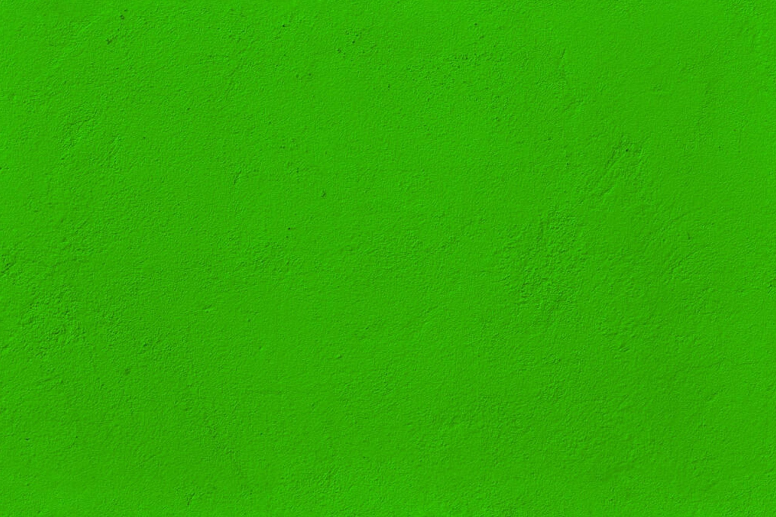 Does Paint Dry Darker Or Lighter? Housekeepingbay