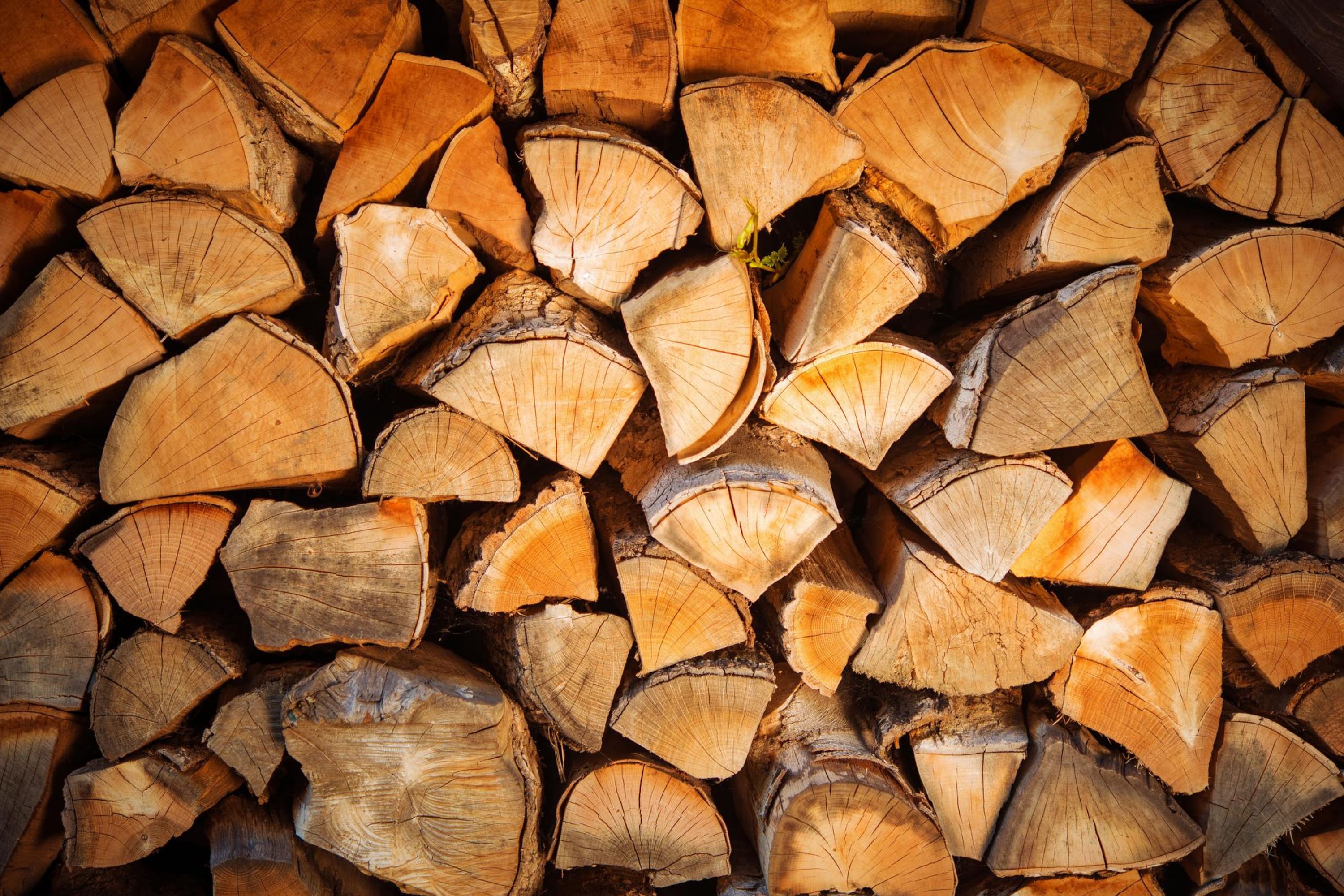 How to Dry Pressure Treated Wood? Housekeepingbay