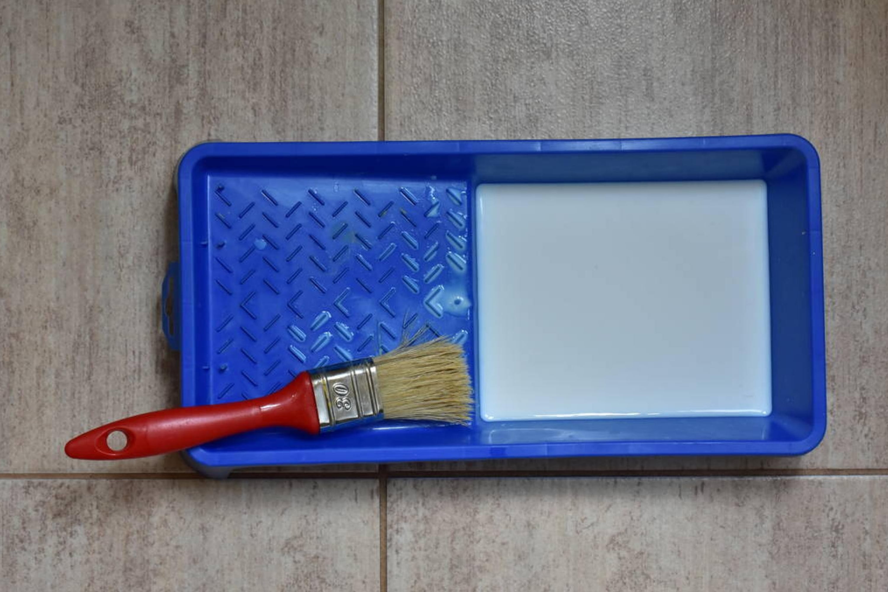 All You Need to Know About Painting a Metal Roof With Rust