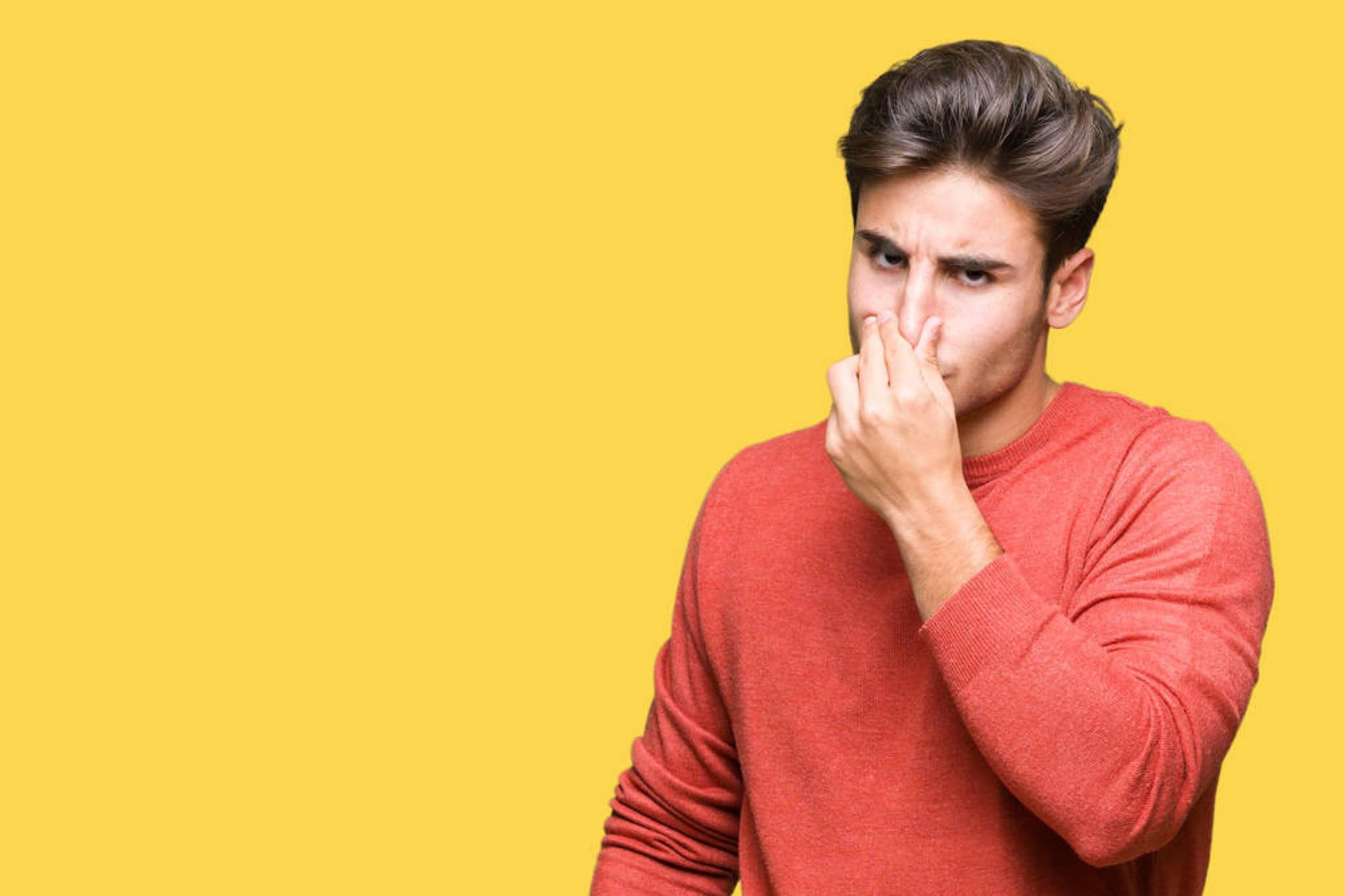 What Does Wet Insulation Smell Like? Housekeepingbay