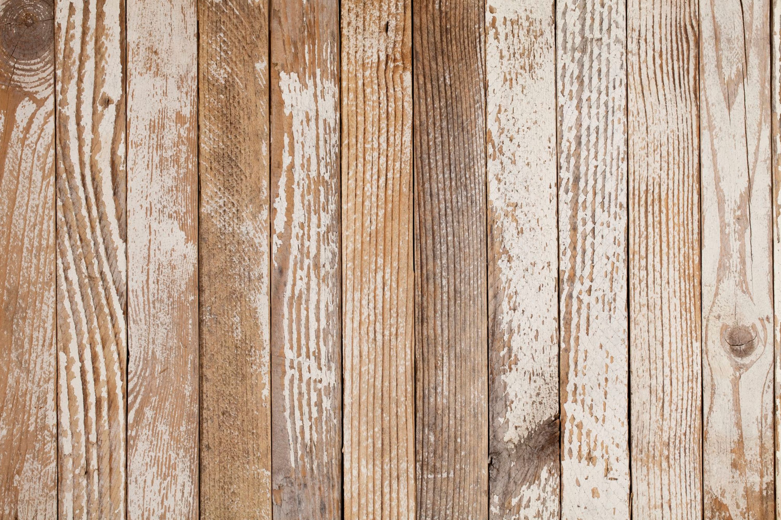 Can You Paint Cedar Wood? All Things To Consider Housekeepingbay