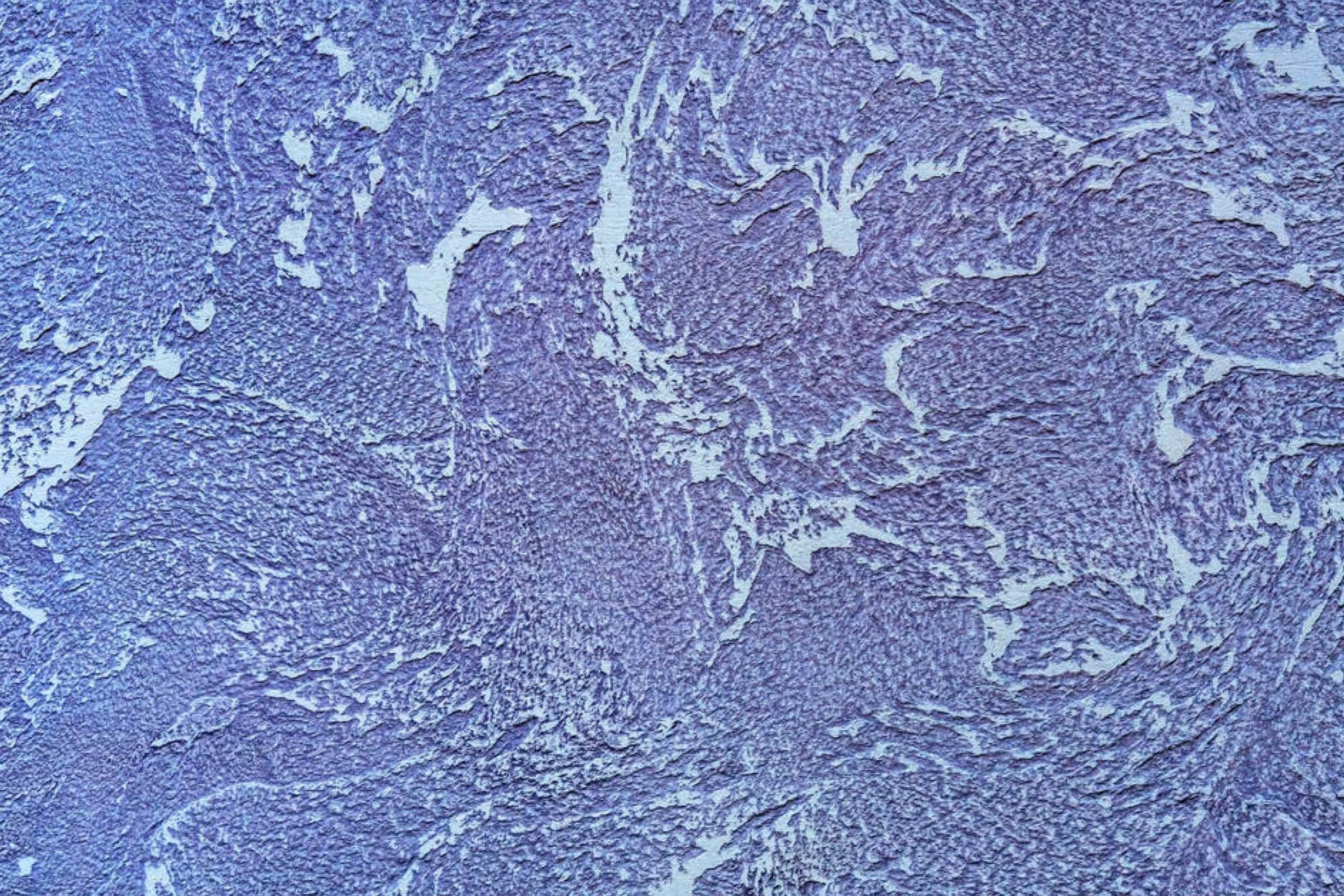 How to Paint Over Plaster? Housekeepingbay