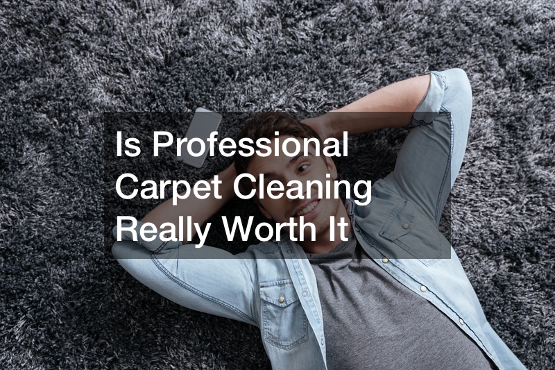 Is Professional Carpet Cleaning Really Worth It House Killer