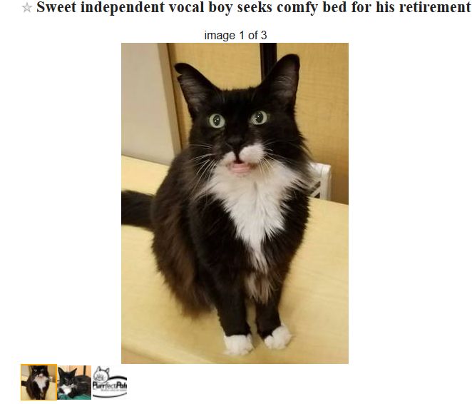 10 of the Wackiest Craigslist Seattle Ads