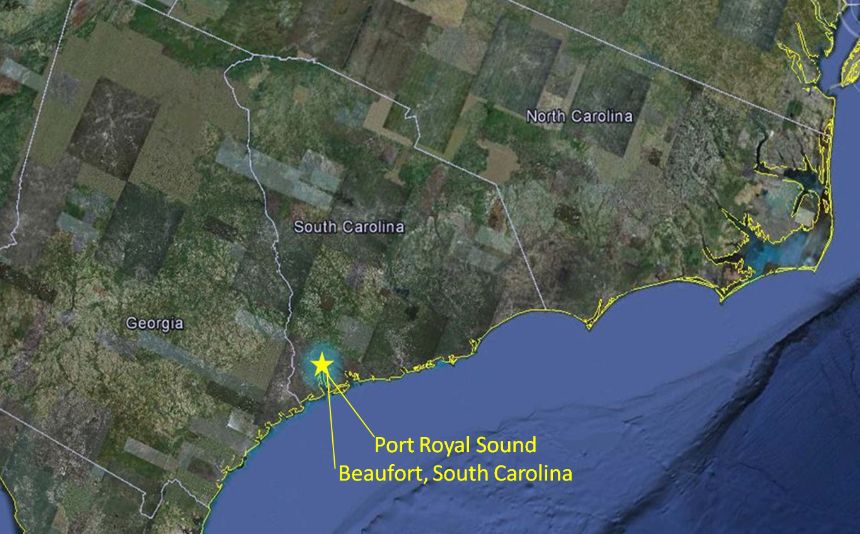 Hilton Head 20 Things You Didn't Know