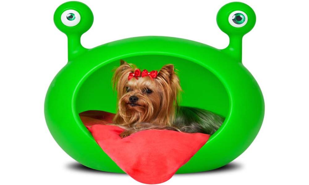 20 Unbelievably Cool Beds For Your Pet Dog