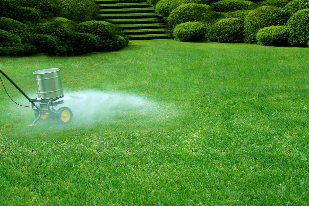 What Lawn Fertilizer Should I Be Using Now? Houseman Services