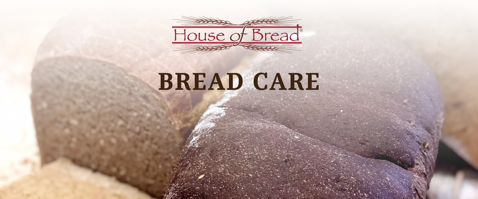 Bread Care House of Bread Nolensville