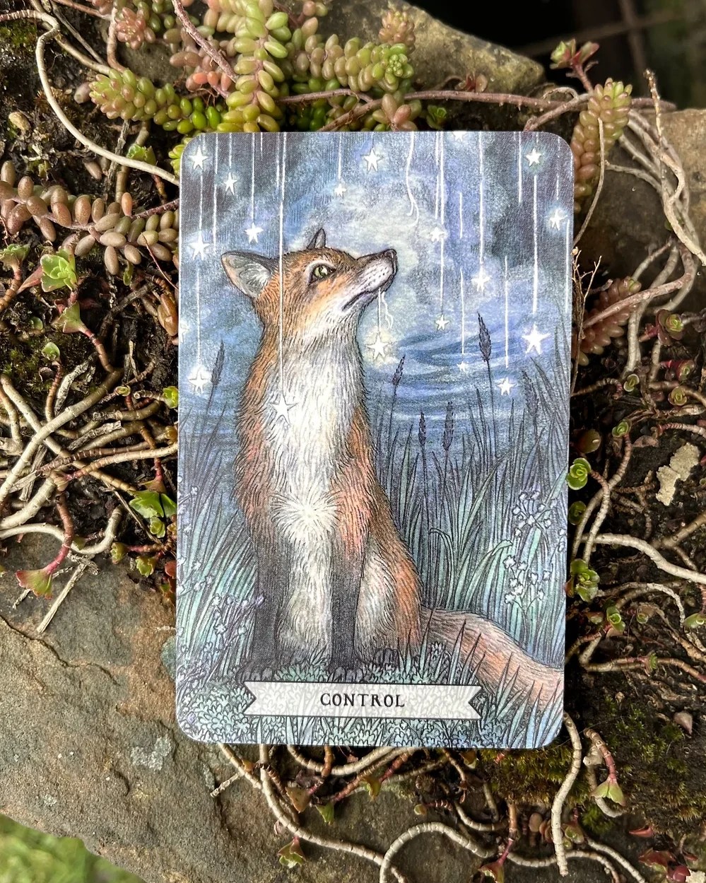 Thistledown Oracle Deck House of Formlab