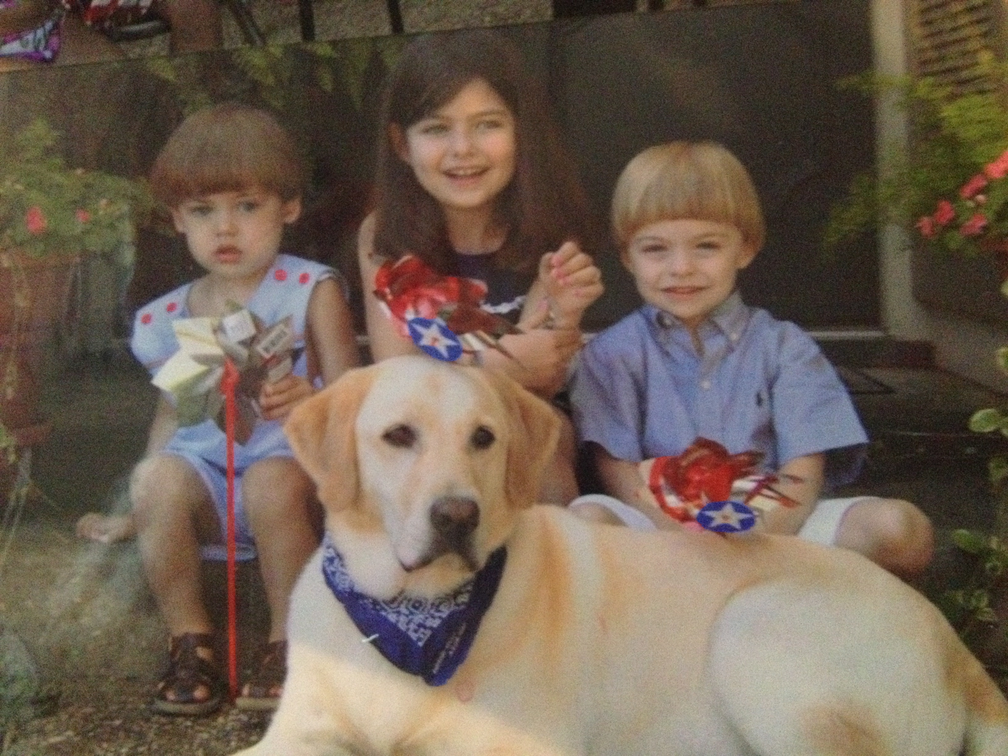 Dog Days Gone Bye Kristen Hatton