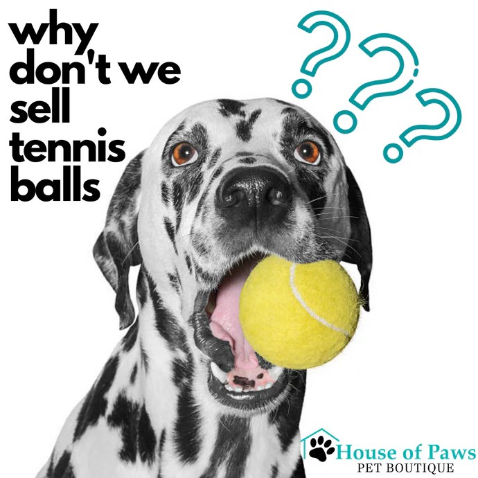 Are Tennis Balls Safe for Dogs House of Paws Pet Boutique