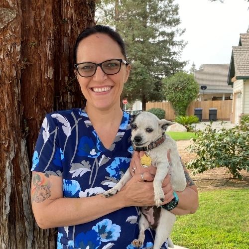 Visalia, CA Veterinarians House of Paws Veterinary Clinic