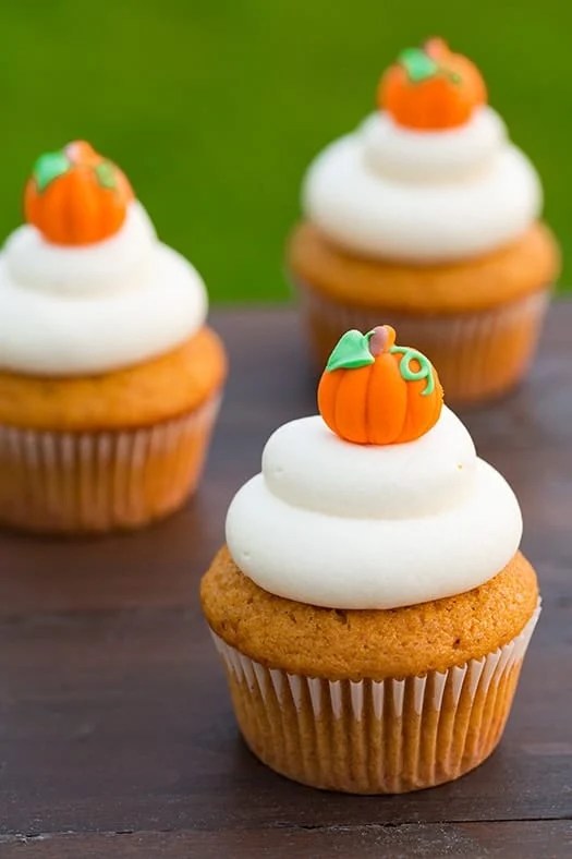 20 + Must Make Fall Cupcakes House of Yumm