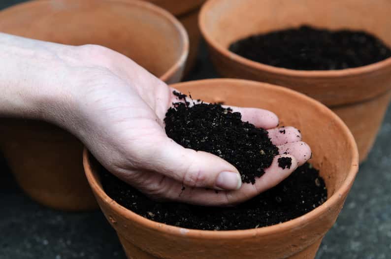 hand holding soil from a pot