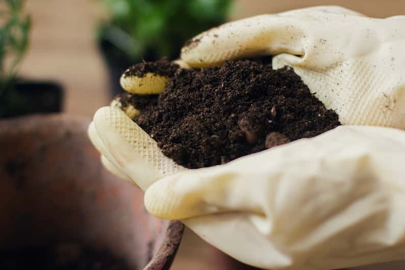 hand holding soil from a pot