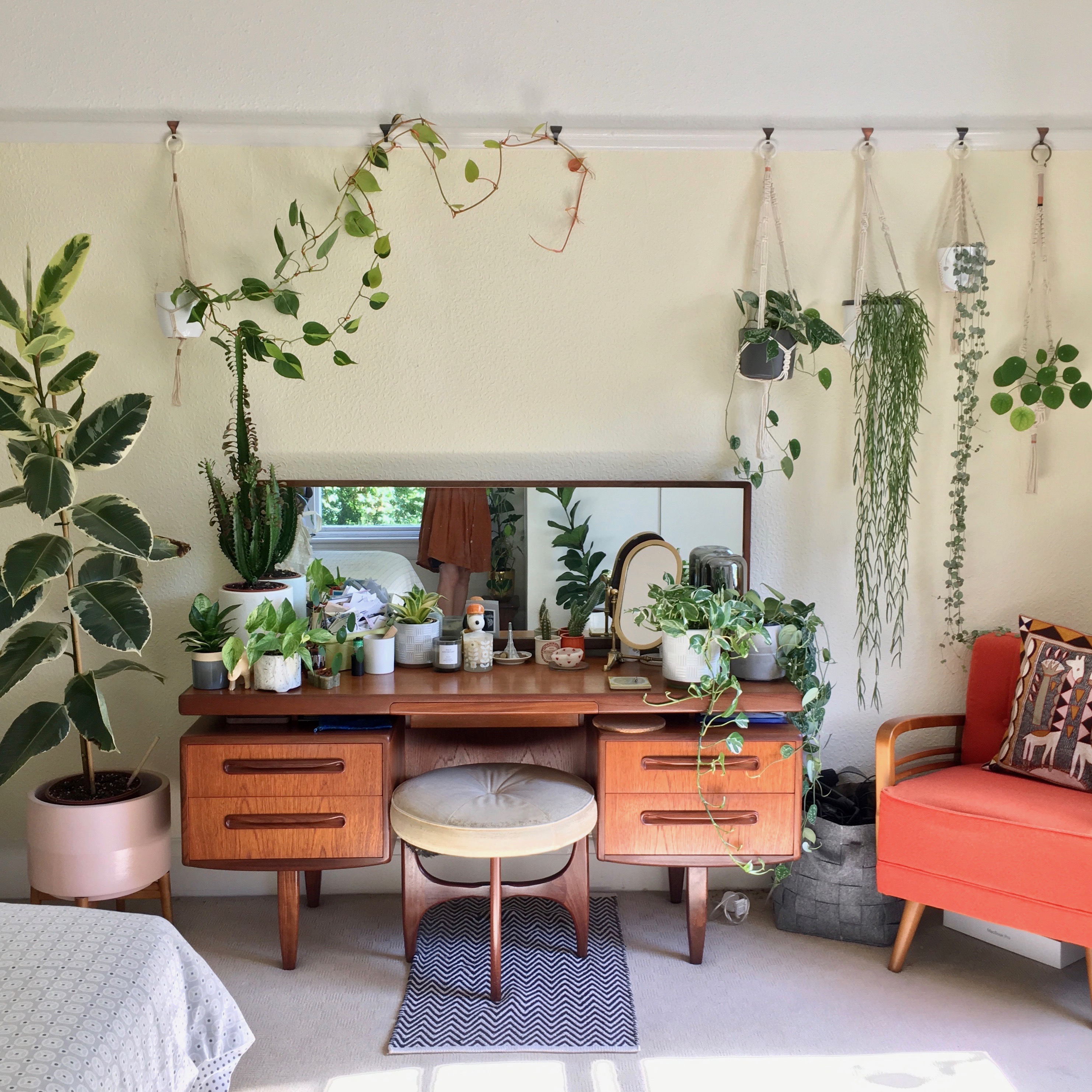 Why are indoor plants trending? HOUSE PLANT HOUSE