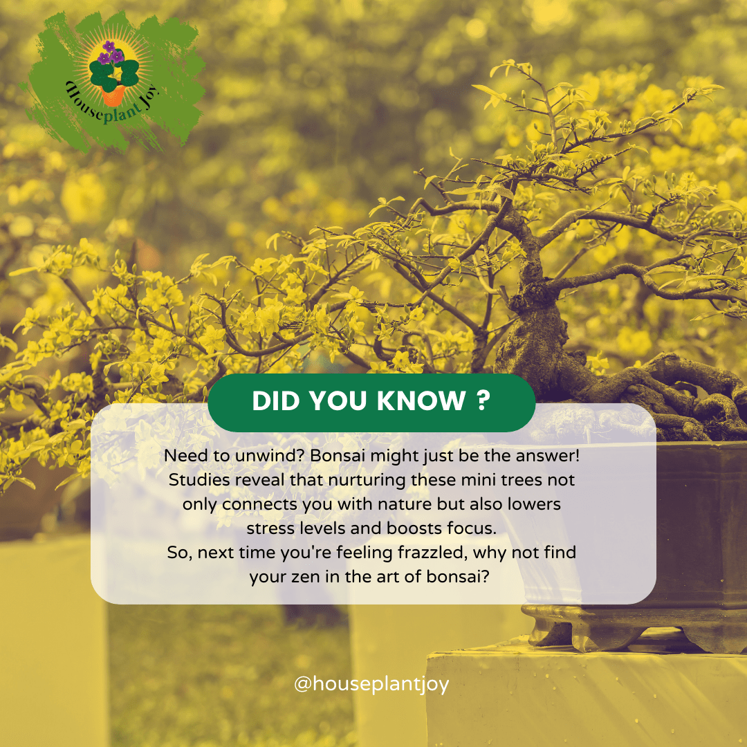 Flowering Bonsai Trees Care Guide