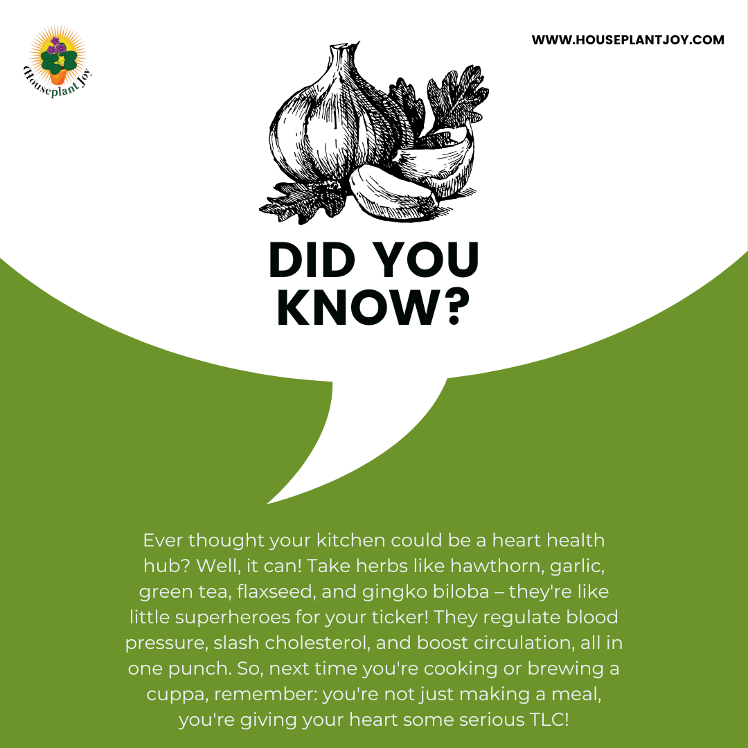 Herbs for Heart Health