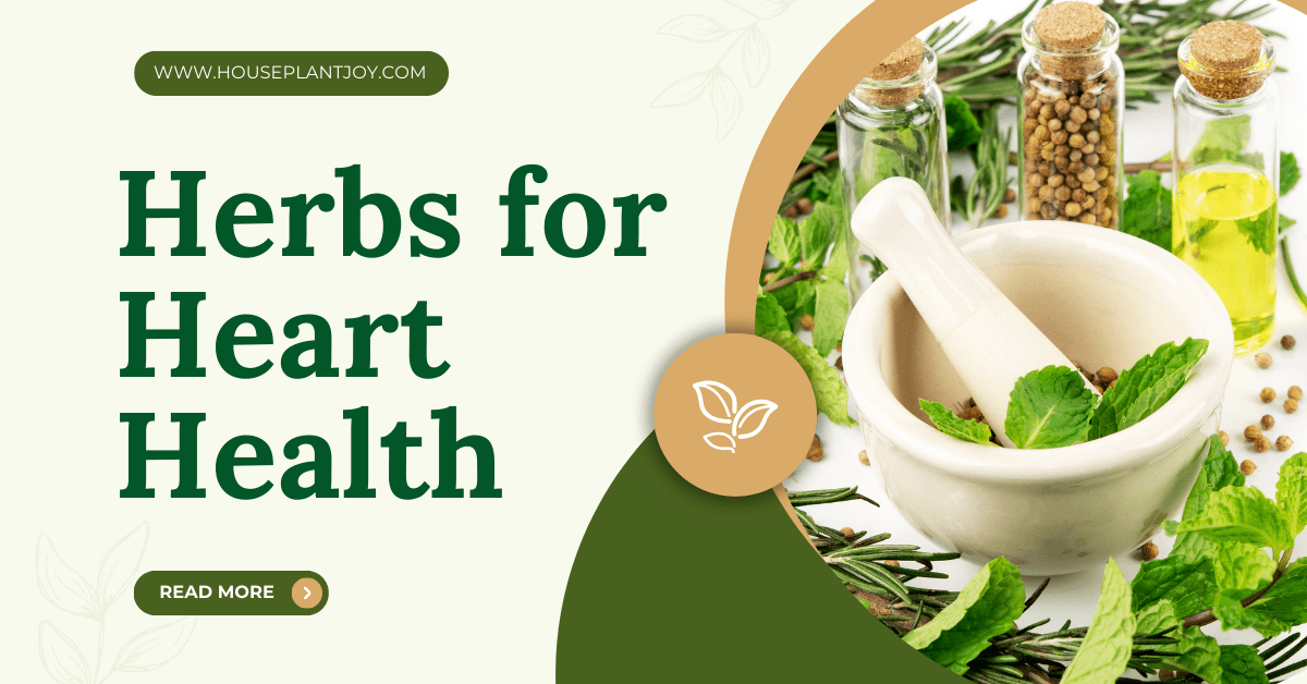 Herbs for Heart Health