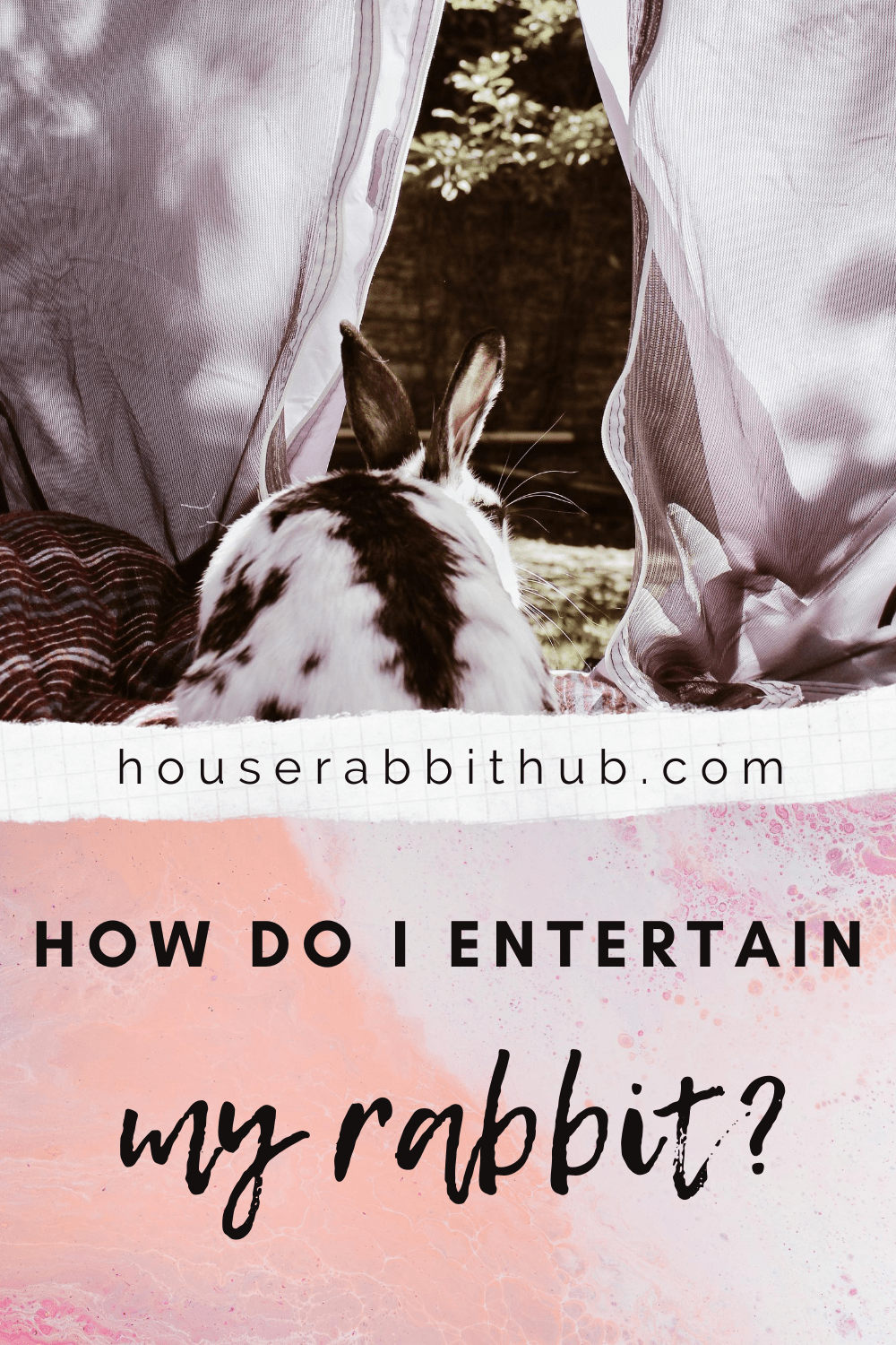 How do I keep my indoor rabbit entertained? House Rabbit Hub