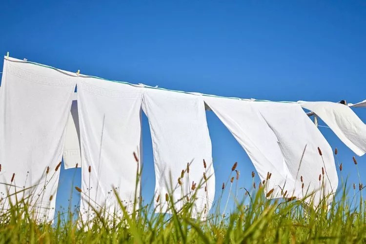 Can You Put Rugs In The Dryer? (Ultimate Guide)