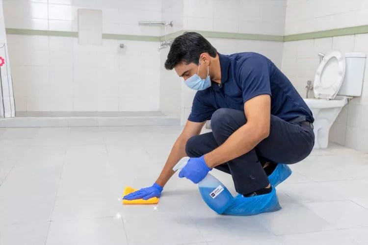 Do Bathroom Fans Remove Smell? (A Closer Look)