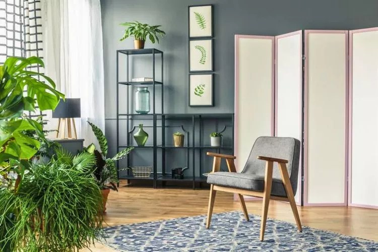 How To Build A Temporary Wall In An Apartment In 7 Easy Steps