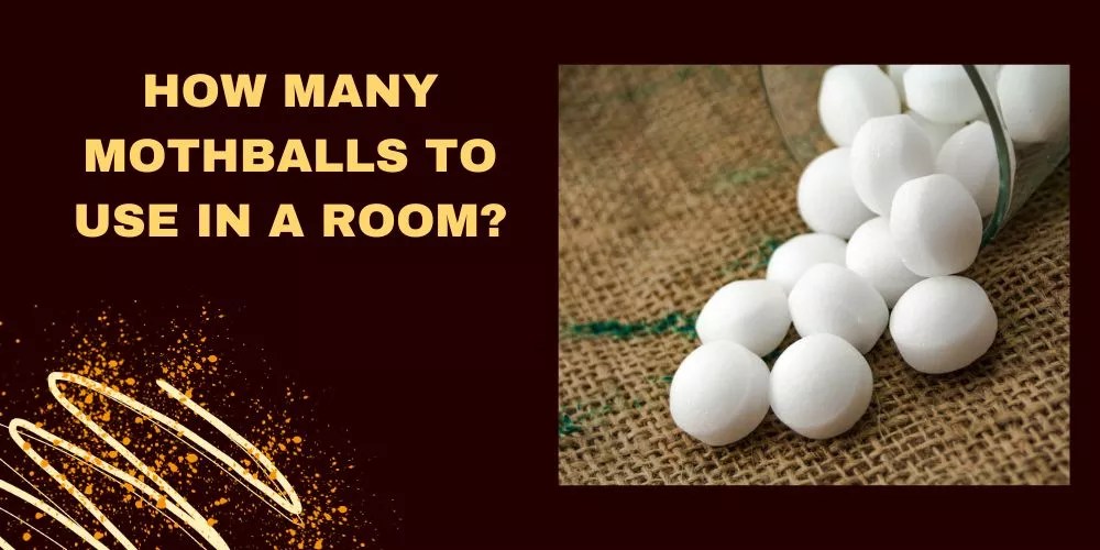 How Many Mothballs To Use In A Room? An Authentic Guide