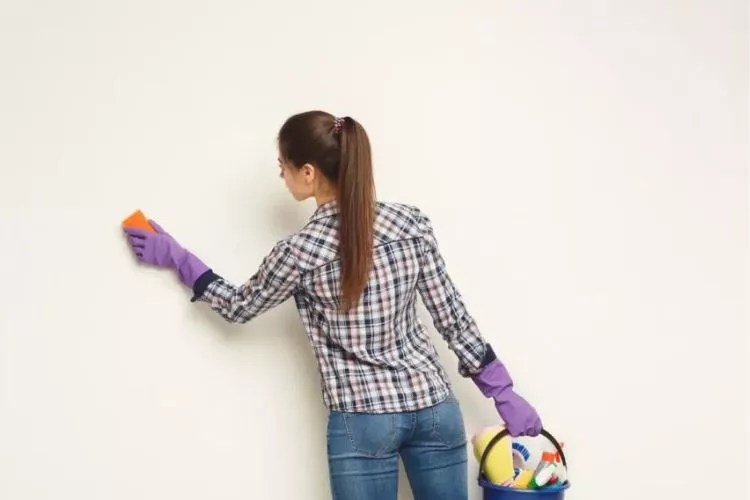 How To Remove Boogers From Wall In 7 Easy Steps