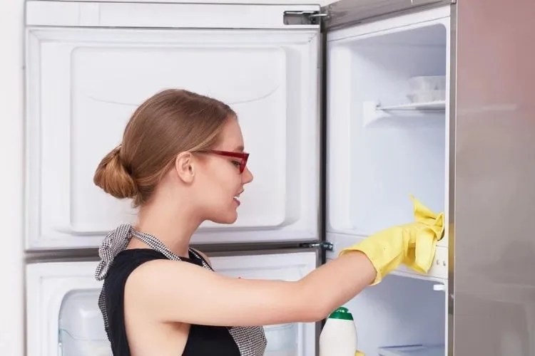 How To Clean A Freezer Floor In 4 Easy Steps
