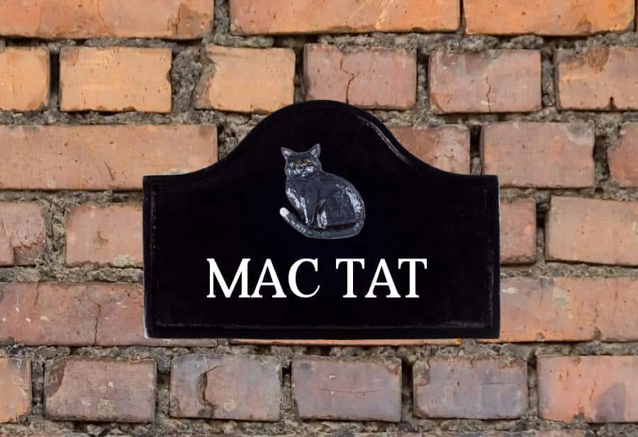 Cat Sign 12" X 8" House Signs