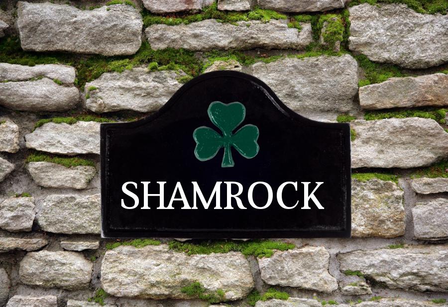 Shamrock House Sign 12" X 8" House Signs