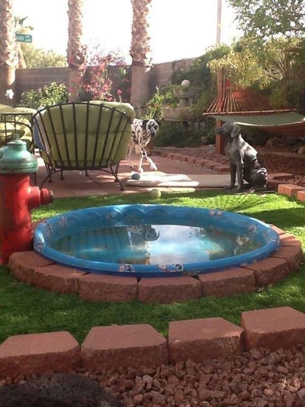 How To Create Awesome Dog Pool In Low Budget