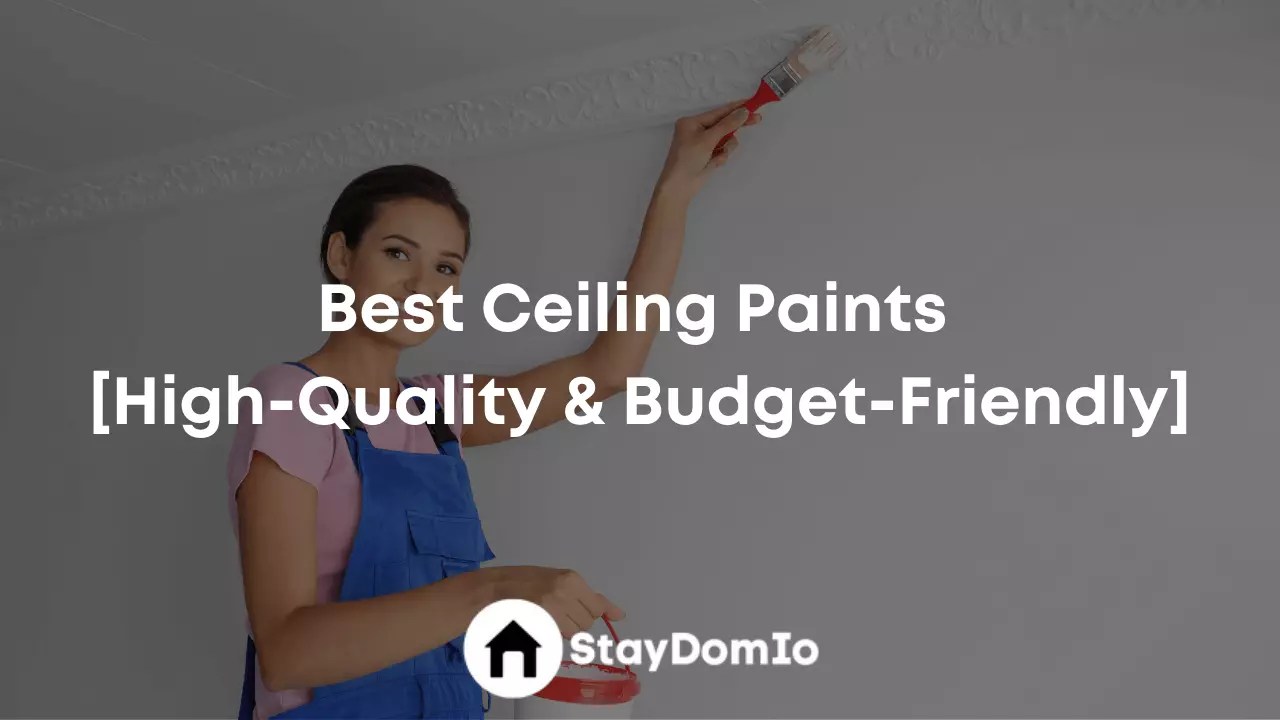 Best Ceiling Paints In 2023 [HighQuality & BudgetFriendly]