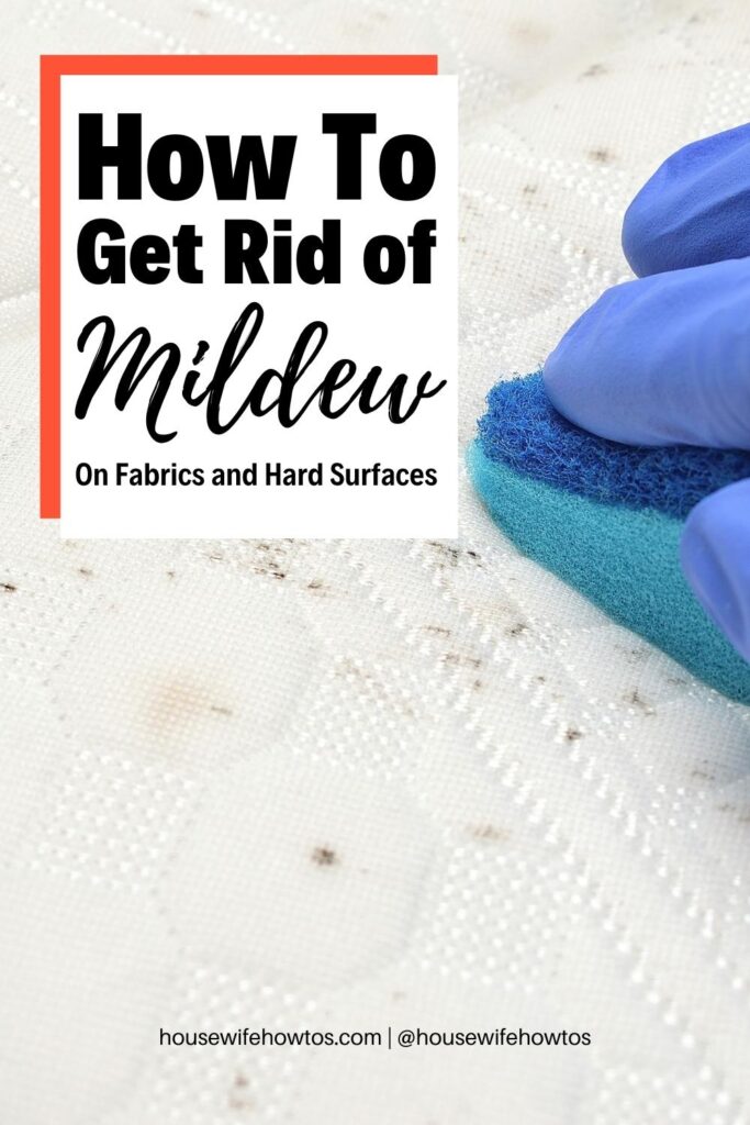 How to Get Rid of Mildew and Keep It Away for Good