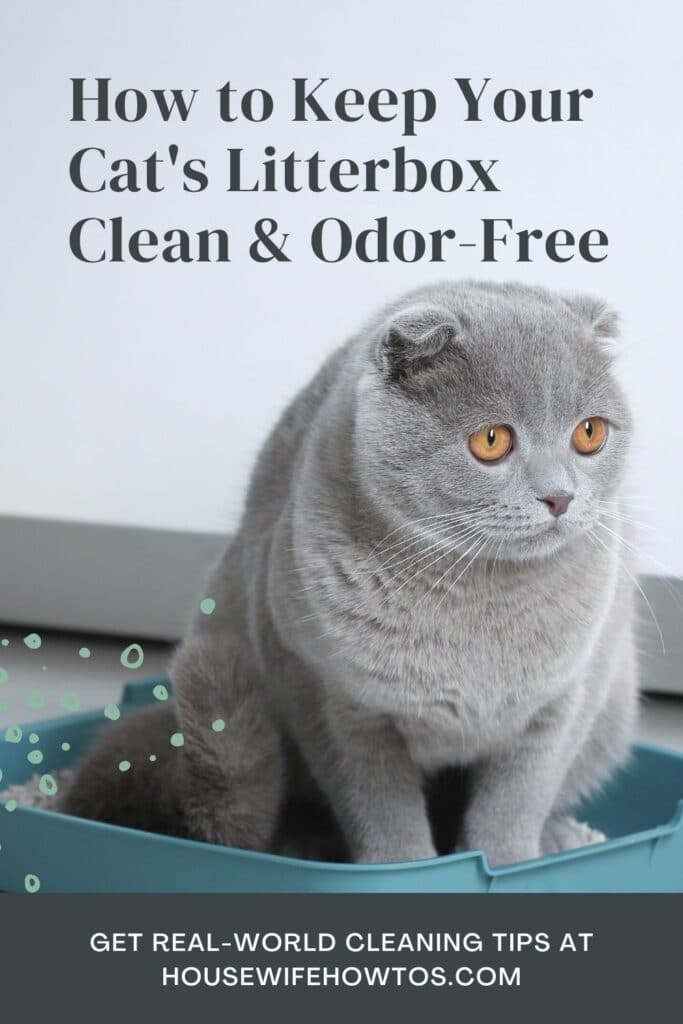 How To Keep A LitterBox Clean and Odor Free Housewife HowTos