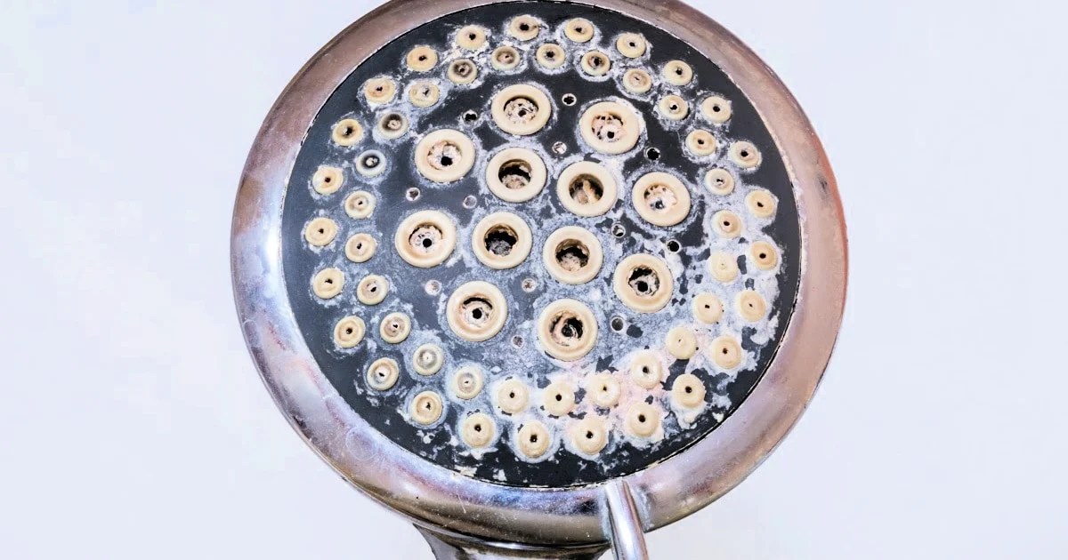 How To Clean A Shower Head And Why You Should Housewife HowTos