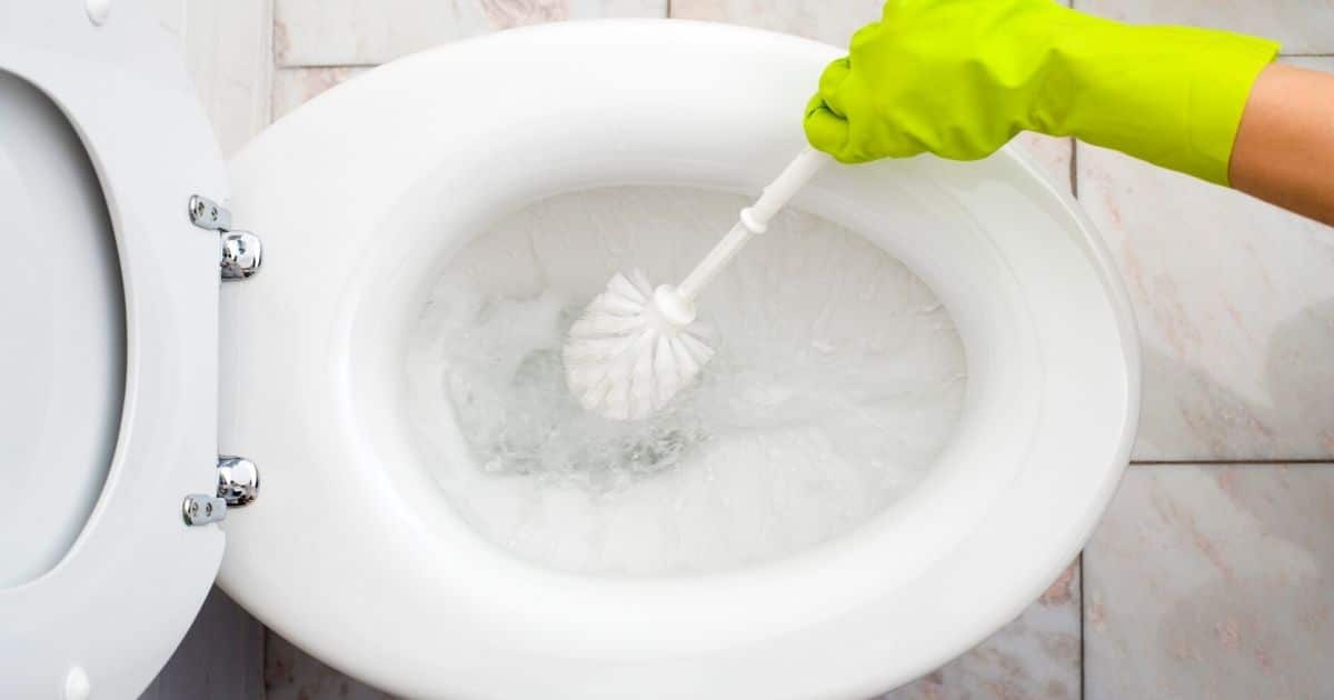 How to Clean a Stained and Smelly Toilet