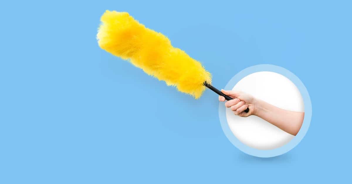 How To Clean Dust From Books at Mary Krueger blog