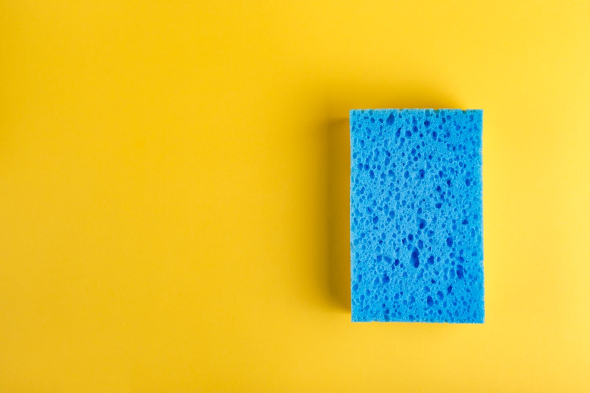 How To Clean Sponges In Microwave Plantforce21