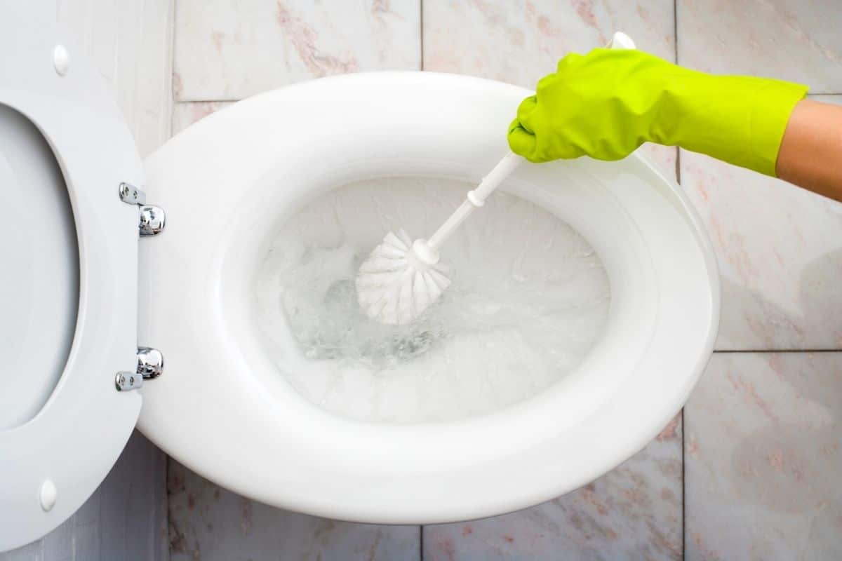 How to Clean a Stained and Smelly Toilet