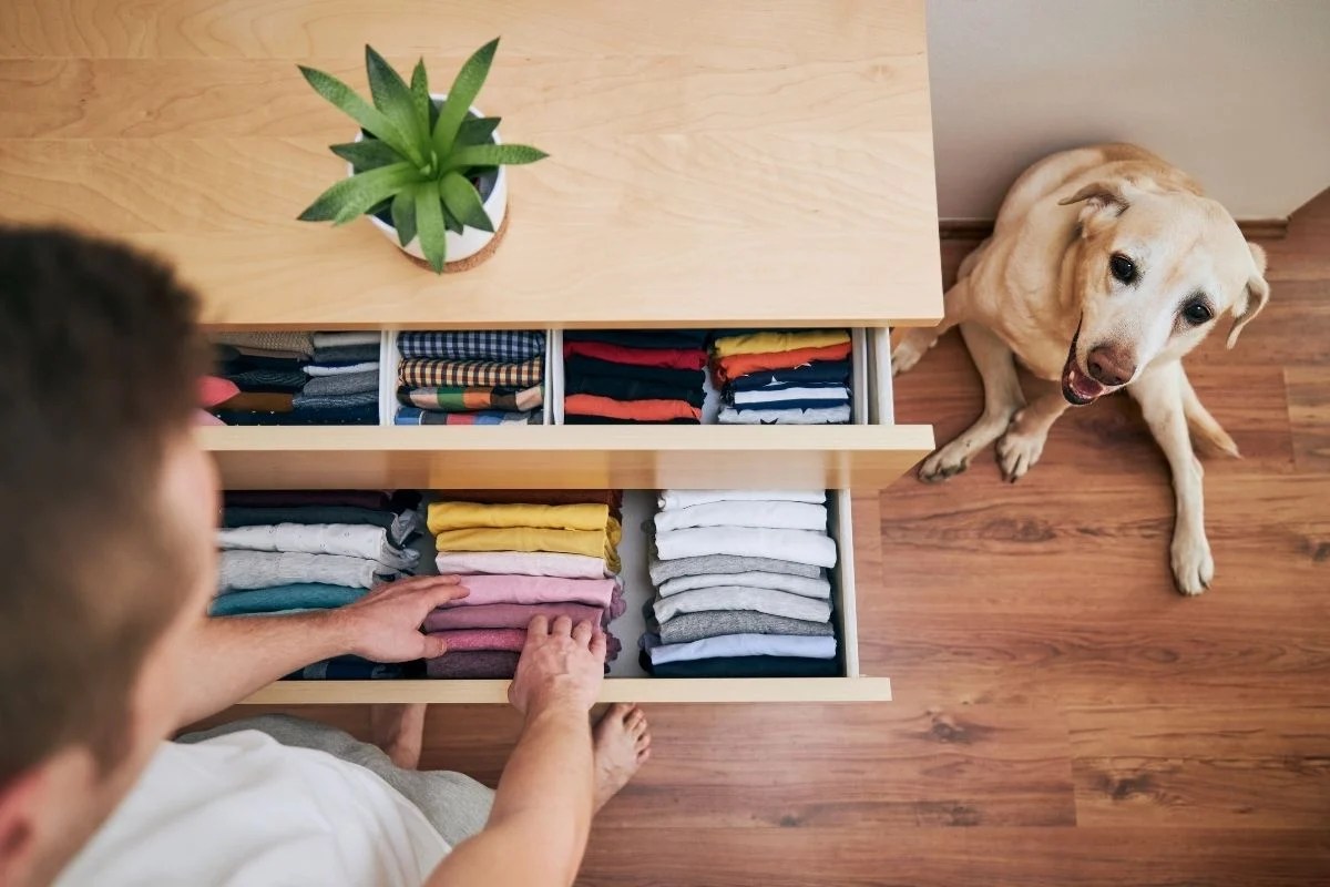 7 Signs You Are A Tidy Person