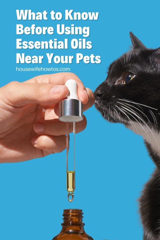 Using Essential Oils Safely Around Pets Housewife HowTos
