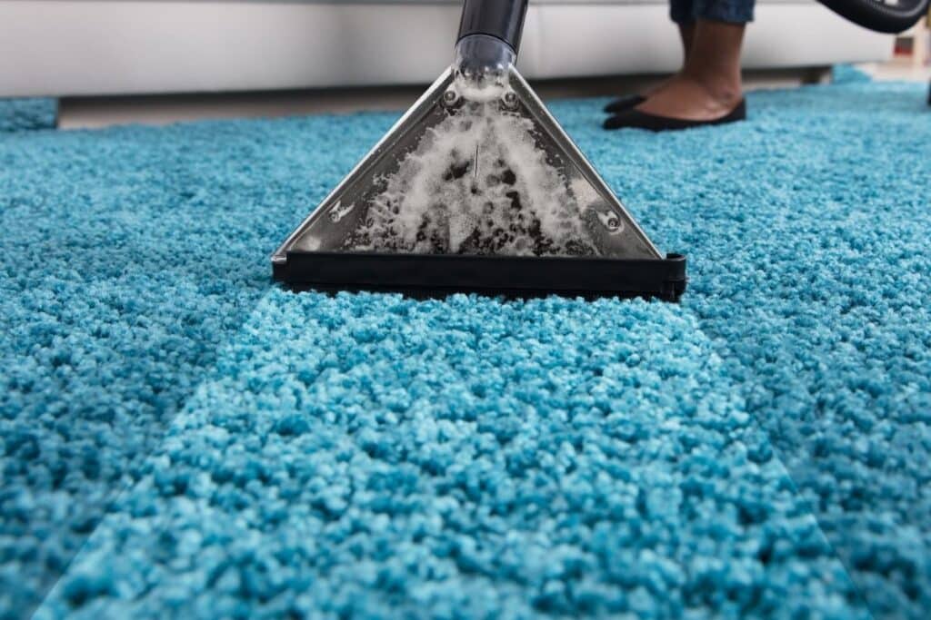 Should You Steam Clean New Carpet