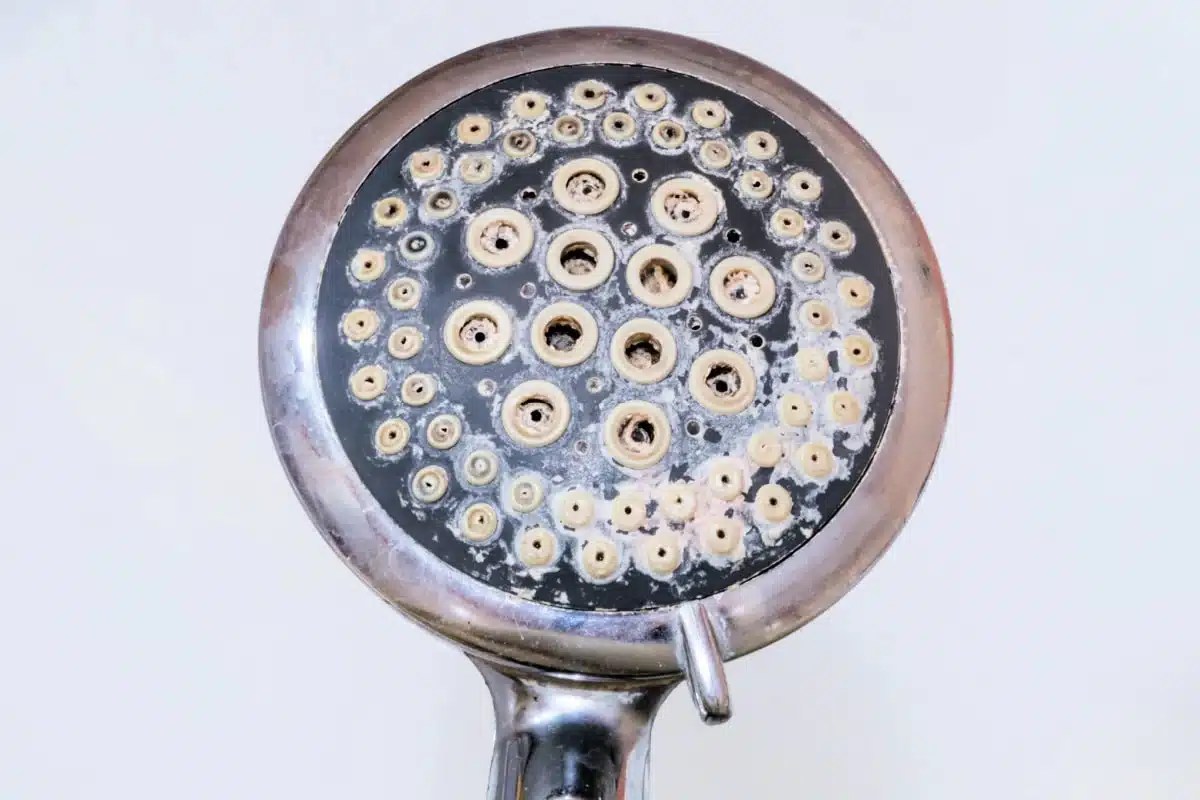 How To Clean A Shower Head And Why You Should
